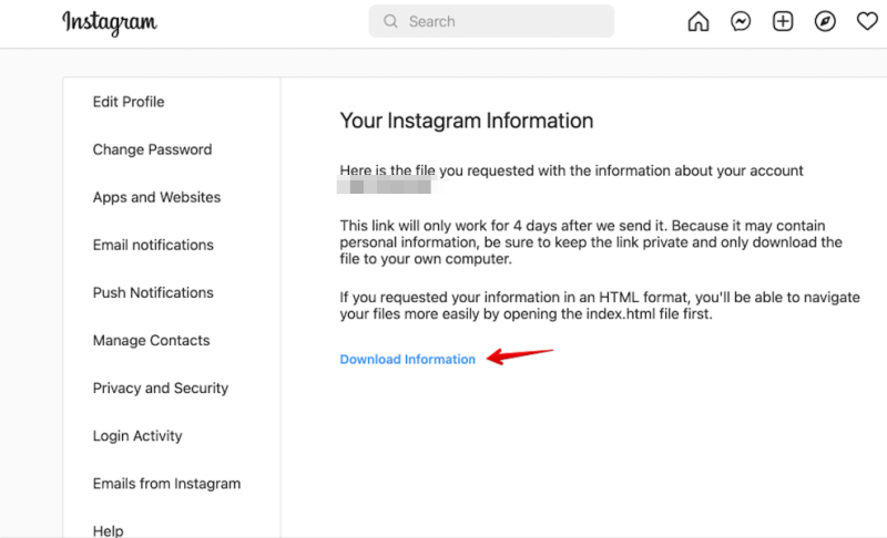 The “Your Instagram Information” page the emailed link opens, with the Download Information link marked out